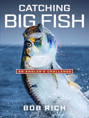 cover image of Catching Big Fish